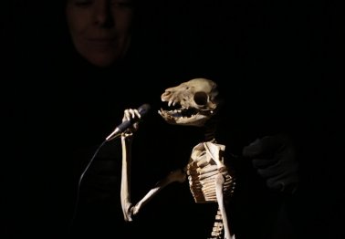 Petty Bones Band