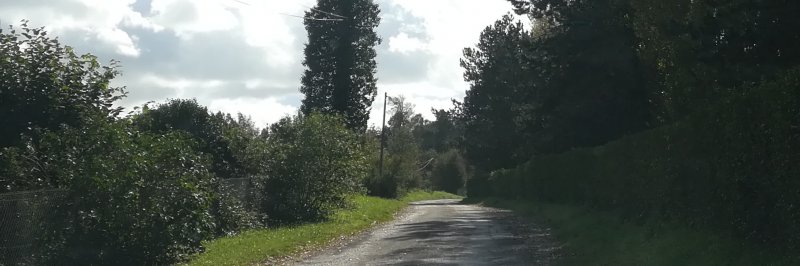 Des coquilles sous les roues des vélos