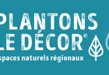 Plantons le décor : A vos commandes !
