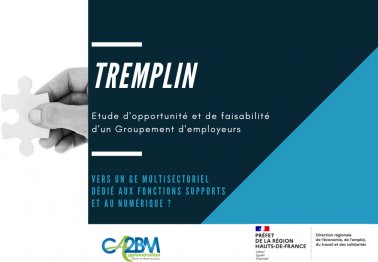 TREMPLIN, bientôt un groupement d'employeurs territorial et multisectoriel