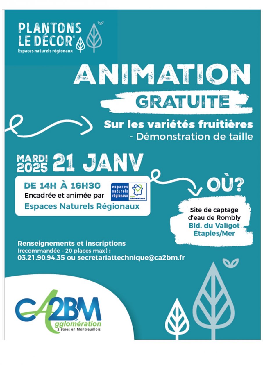 animation 2025 plantons le décor