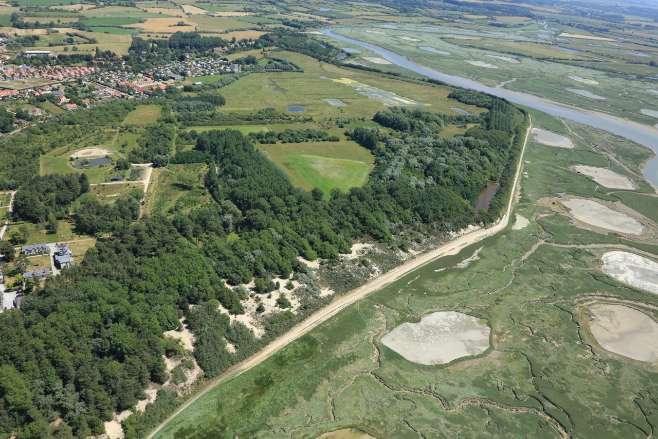 Digue bois des sapins