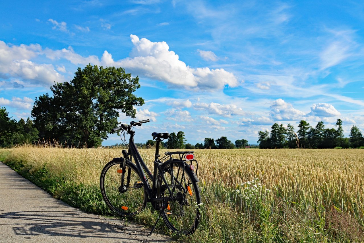 vélo
